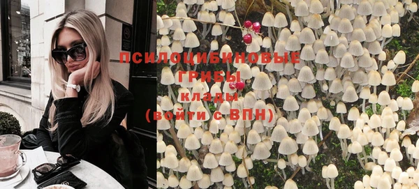 винт Абинск