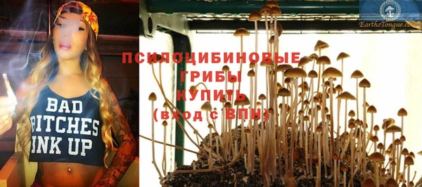 винт Абинск