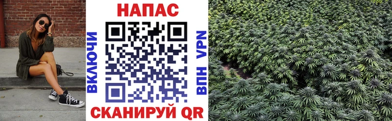 наркотики  Сурск  ОМГ ОМГ зеркало  Бошки Шишки VHQ 